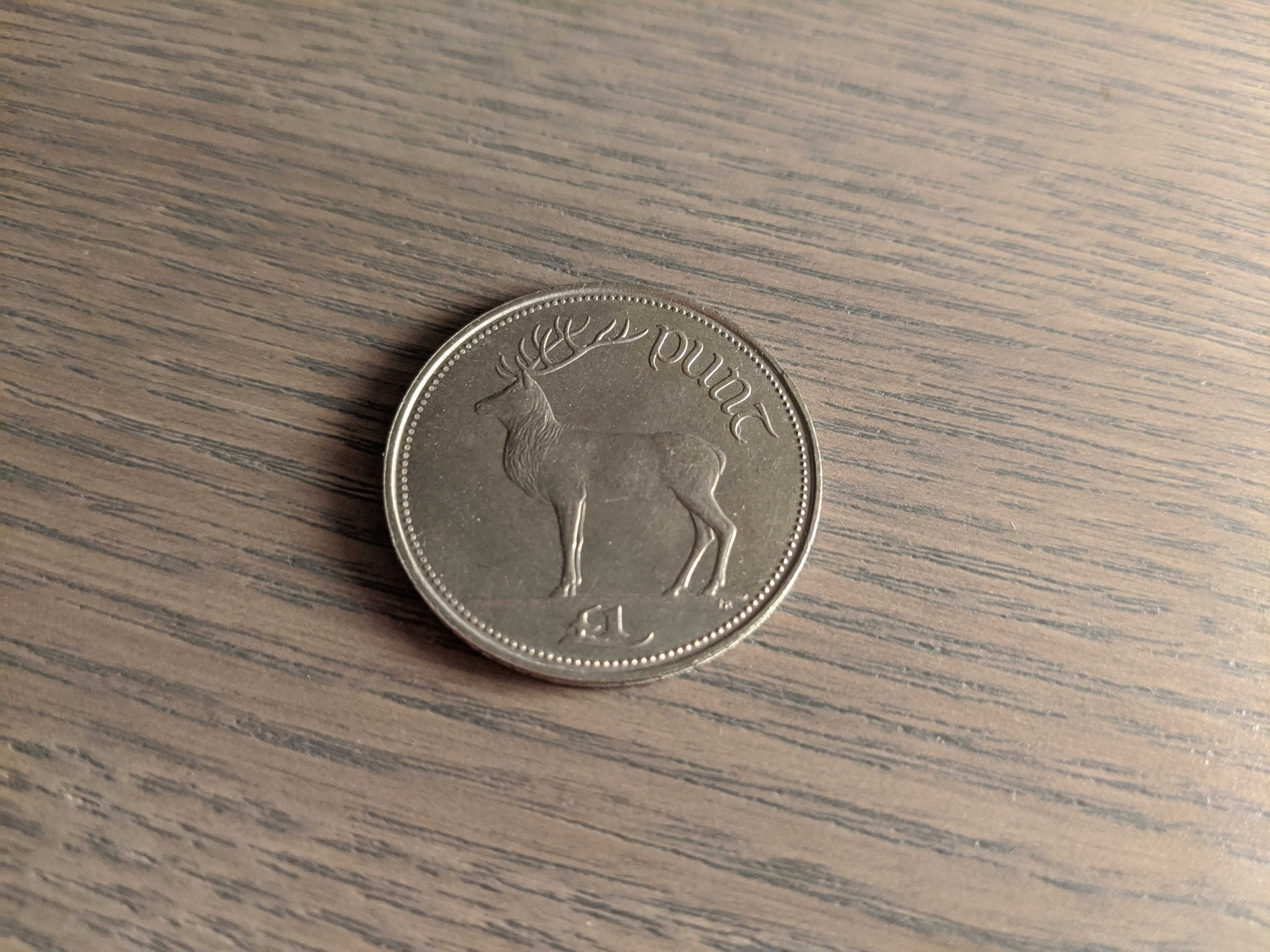 Heads side of the 1 pound Irish coin